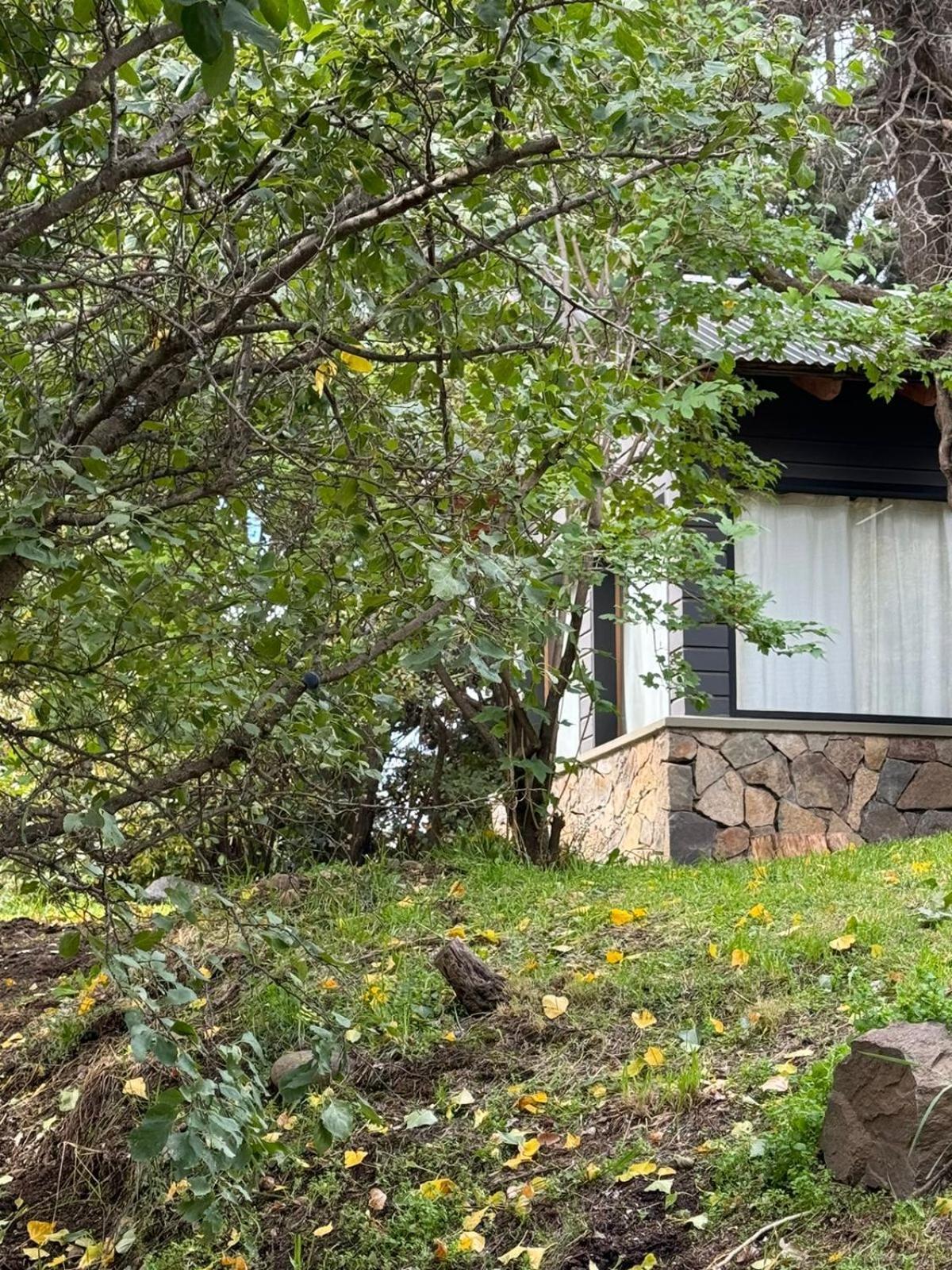 Huilen De Bandurrias Vila San Martín de los Andes Exterior foto